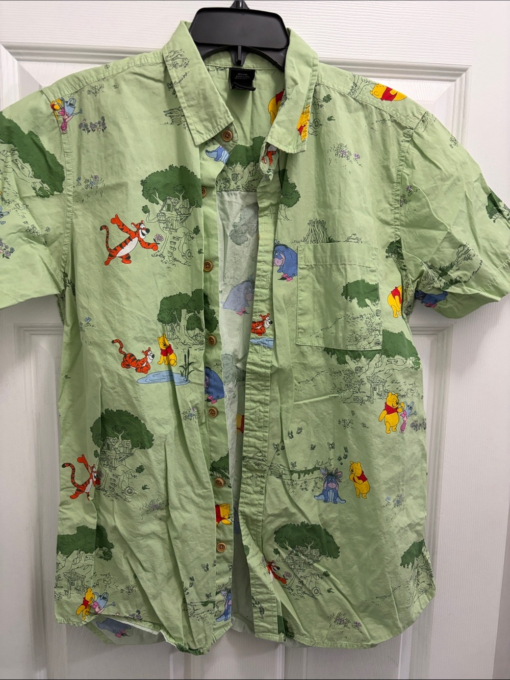 Disney Light Green Winnie the Pooh Button-Up Shirt